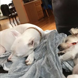 Meet your Posher, Dean